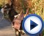 vidéos de location d'âne et calèche